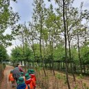 천왕숲어린이집 이미지