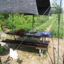 이용기농장 이미지