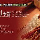 흙뿌리진안홍삼 이미지