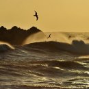 하프타임 희망 이미지