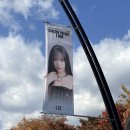 아이스퀸 - 목포시 용해지구로88번길 23 | 한참 늦은 2025 IVE WORLD TOUR [SHOW WHAT I AM] 막콘 후기 (처참한 토롯코 1열 ^_^)