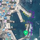 성대1리 | 수중여가 빼곡한 청진1리방파제 소개