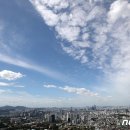 푸른하늘 이미지