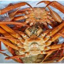 용이수산 이미지