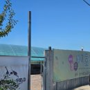 애니멀필드2 이미지