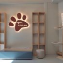 진서동물병원 이미지