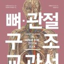 지음구조