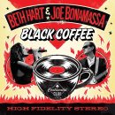 Soul On Fire / Beth Hart &amp; Joe Bonamassa(베스 하트 &amp; 조 보나 마사) 이미지