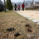 송암스포츠타운 보조경기장 이미지