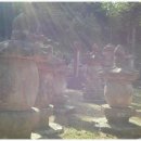 월성농장 이미지