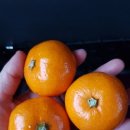 적상중학교 이미지