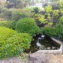 스테이 촌 이미지