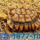 대신동물병원 이미지