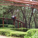 솔향공원 소나무전시관 이미지