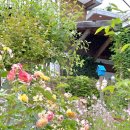 섬진강 플로렌스 이미지