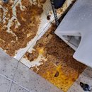 오수동물병원 이미지