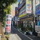 신안동 맛집 고향우렁이쌈밥 솔직후기