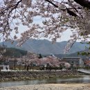 거창-거창-1 | 아너드투어 봄 거창코스 후기 (수승대, 덕천서원, 임불마을 수양벚꽃)