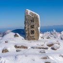 1월 정기산행-평창 오대산(김향자대장) 이미지