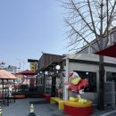 학곡리막국수닭갈비 | 춘천 학곡리막국수닭갈비 아쉬운 후기 내돈내산