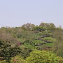 돌다리공원 이미지