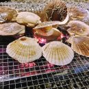 미스짱 건어물 수산물 네이버블로그