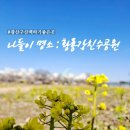 별밤미술관 in 선운 | 광산구 가볼만한 곳 : 산책하기 좋은 황룡친수공원과 별밤미술관in선운