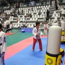 용인화랑태권도 이미지