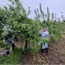 구룡농장 이미지