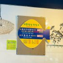 돈 생선 밥상 | [ 부산 기장 ] 기장 일광 어촌밥상 생선이구이 | 일광 해수욕장 맛집 | 부산토박이 우리 엄마 추천 맛집
