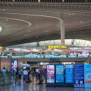 연태팜 | 칭다오 원장맥주 파는곳 가격비교 자오둥 공항 면세점 구매 후기