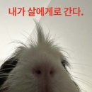 아침햇살의미소 이미지