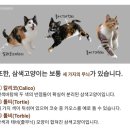 떼굴떼굴 이미지