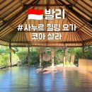 코아오락실 | 발리 여행 요가원 사누르 코아샬라 요가 마사지 추천