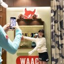 수와키 이미지