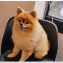 달인막창 광안리 이미지