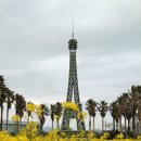 스테이 인 제주(stay in jeju) 이미지