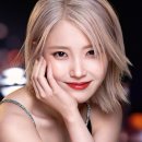 에스티글로벌 이미지