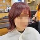 토리헤어(우장산역점) | 우장산역 가성비 좋은 미용실 토리헤어 : 시크릿 투톤 헤어 예뻐요~