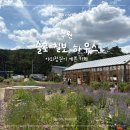 수원 슬로칠보하우스 후기 - 라벤더 꽃밭 온실 있는 대형 정원 카페