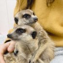 찰스복싱클럽 이미지