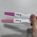 베이비 드라마 <달> | [임신5주]임신 극초기 증상 및 임신 테스트기 사용 후기/뚜렷한 두줄