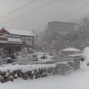명산차농원