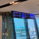 스테이마농 | 임신29주 일기_제주도 태교여행, 제주도 산방산 셀프 만삭촬영