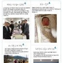 안수농장 Daum카페