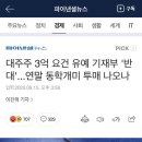 대주주 3억 요건 유예 기재부 '반대'...연말 동학개미 투매 나오나 이미지