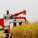 철원농협 이미지