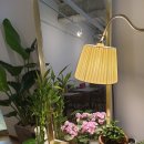 에메랄드빌딩 이미지