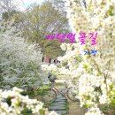 잣향기 자전거길 | 경춘국도 가평 브런치카페 플로레 북한강자전거길, 잣요리 하늘땅별땅