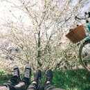 큐피트커플 이미지